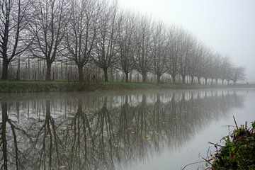 Winterse reflectie in de Kromme Rijn van Pieter Heymeijer
