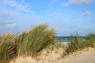 Rügens Dünen von Ostsee Bilder Miniaturansicht