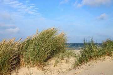 Ruegense duinen van Ostsee Bilder