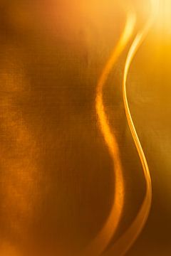 Gouden spiraal van Mariëro Fotografie