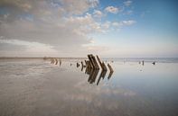 Beautiful reflection of wooden poles in the sea by Patrick Verhoef thumbnail