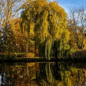 In the mirror of the lake by Holger Felix