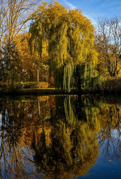Im Spiegel des Sees von Holger Felix