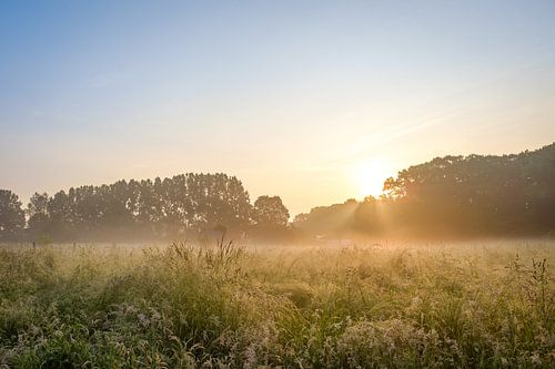 Mombeekvallei zonsopkomst
