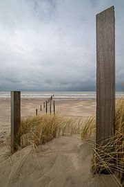 Noortvoort nature reserve by Peter Bartelings