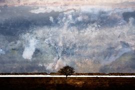 La vue sur Michel Kant