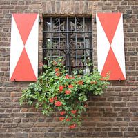 Malerisches Fenster in Zons am Rhein