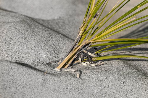 Abstrack & Minimalisme