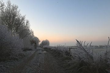 Wandelpad langs de IJssel van Frank Mossink