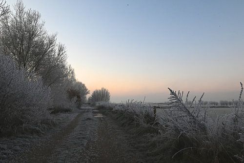 Fußweg entlang des Flusses IJssel