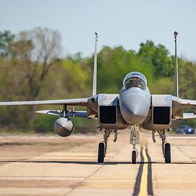 Milice du Bayou McDonnell Douglas F-15C Eagle. sur Jaap van den Berg