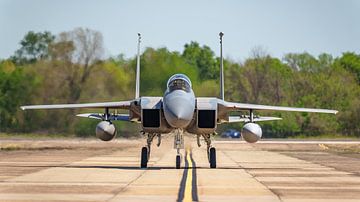 Milice du Bayou McDonnell Douglas F-15C Eagle.