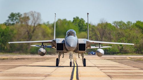 Bayou Militia McDonnell Douglas F-15C Eagle. by Jaap van den Berg