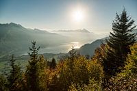 Herfst in de Zwitserse Alpen. Berner Oberland.