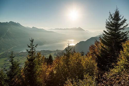 Automne dans les Alpes suisses. Oberland Bernois.