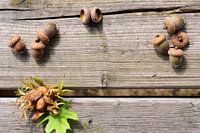 Eikels en noten op een houten plank