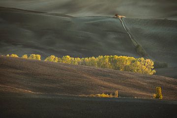 Eerste lichtpuntjes in Val d'Orcia, Toscane van mauro maione