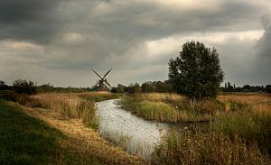 Holländische Windmühle (3) von Bo Scheeringa Photography