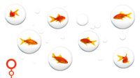 Blowing bubbles by Elles Rijsdijk thumbnail