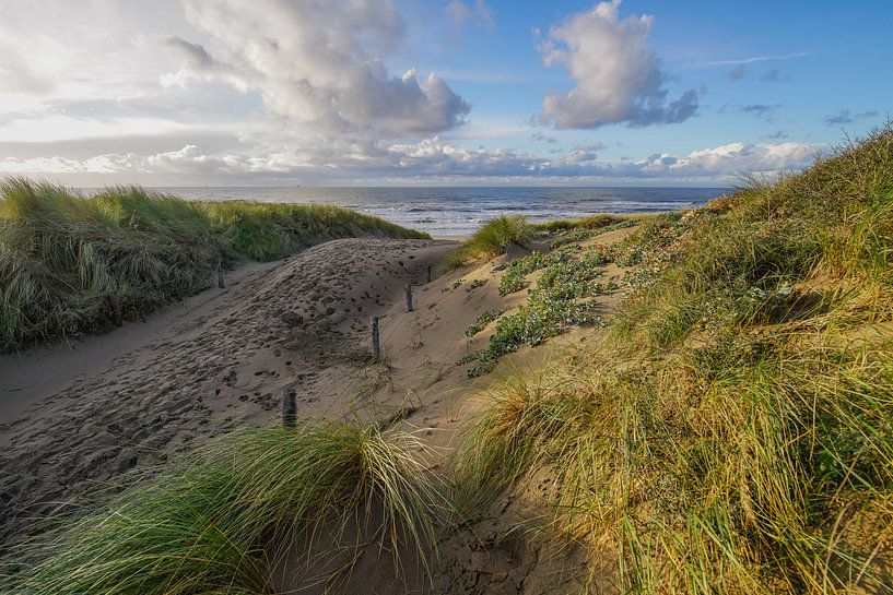 Strandleven! by Dirk van Egmond