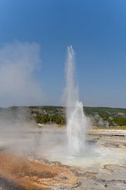 Geyser in Yellowstone National Park, USA by Jeroen van Deel