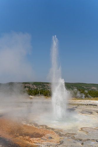 Geiser in Yellowstone National Park, USA