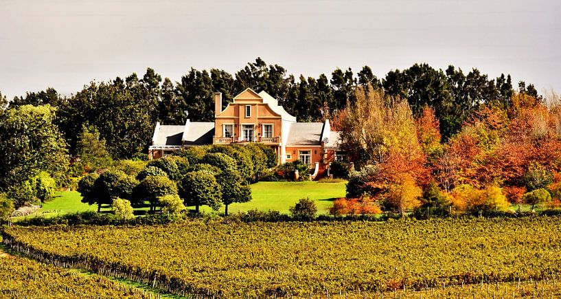 Winery house with trees in autumn colors and vine fields by Werner Lehmann