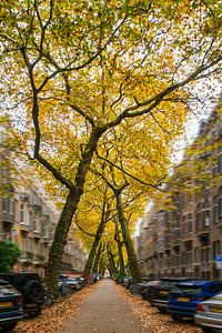 Une rue d'Amsterdam pas comme les autres