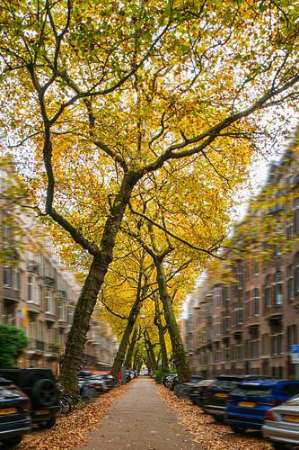 Geen gewone Amsterdamse straat