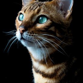 Bengal cat by Christine Bässler