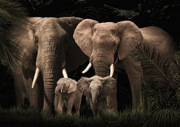 Elefantenfamilie mit zwei Kälbern (auch mit mehr oder weniger Kälbern)
