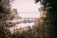 Une porte sur la nature