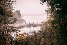 Tor zur Natur von Nicole Schmidt