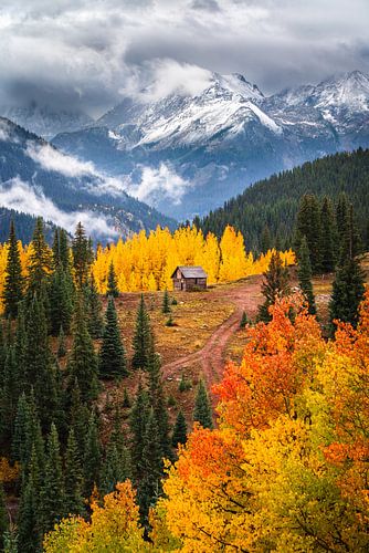 Seasonal Endurance - San Juan Mountains in Autumn by Daniel Forster