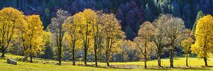 Le calme dans la vallée du Dietersbach