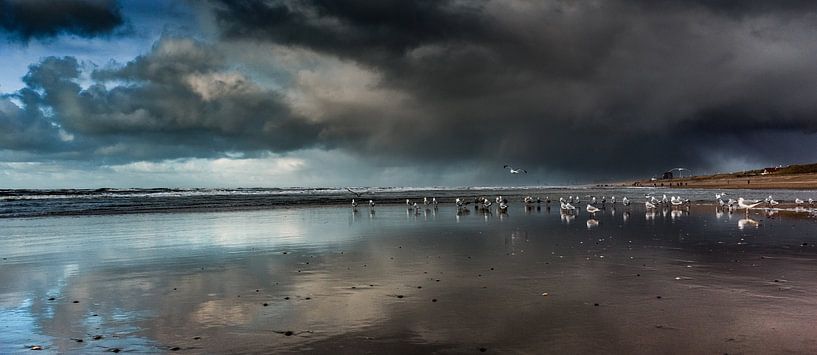 Strand van Henk Leijen