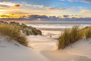 Paysage de dunes