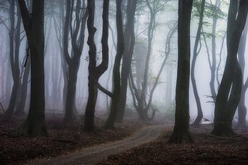 Around the bend by Tvurk Photography