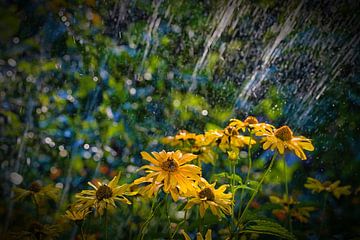 Flowers under a water sprinkler by Winne Köhn