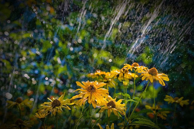 Bloemen onder een watersproeier van Winne Köhn