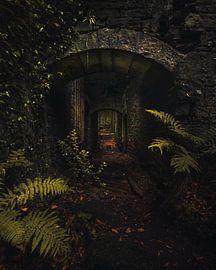 Wo die Natur das Schloss zurückerobert 7 von Jip van Bodegom