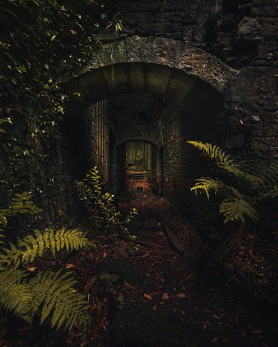 Where nature reclaims the castle 7