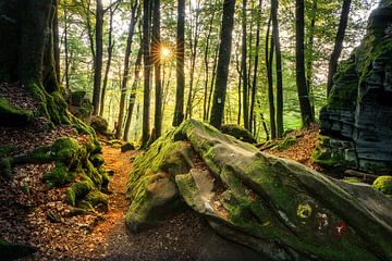 Felsenland in de Zuid-Eifel, Rijnland-Palts, Duitsland van Alexander Ludwig