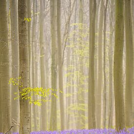 Lila-grüner Frühling von Bas Oosterom