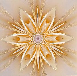 "Be your own Star" mandala sur Nina IoKa