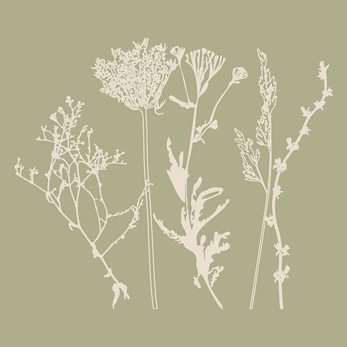 Zomerbloemen en grassen in wit en salie IV