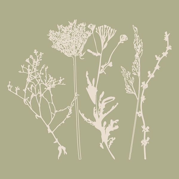 Fleurs et herbes d'été en blanc et sauge IV par Dina Dankers
