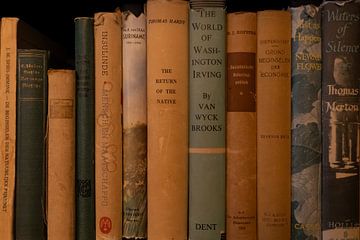 Library of old books by Jan Van Bizar
