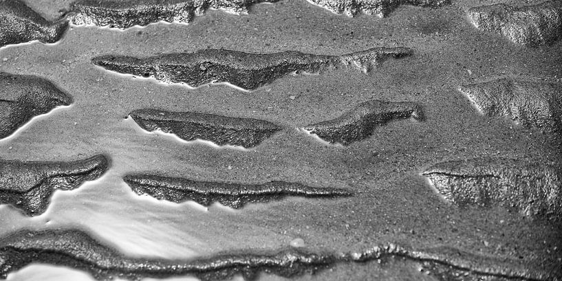 Strand in zwart-wit par Etienne Oldeman