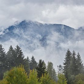bergen in de wolken met bos op voorgrond van Ferry Kalthof